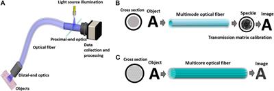 Learning-Based Image Transport Through Disordered Optical Fibers With Transverse Anderson Localization